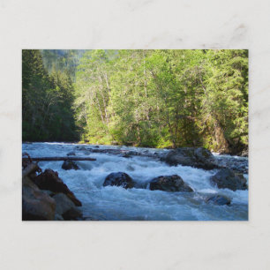 Nooksack River Postcard