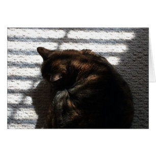 Noontime Nap, card