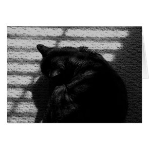 Noontime Nap / Noir, card