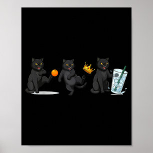 Nope no kings no ice cat funny political meme  poster