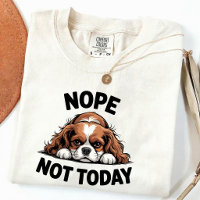 Nope Not Today Funny Pug Dog Meme