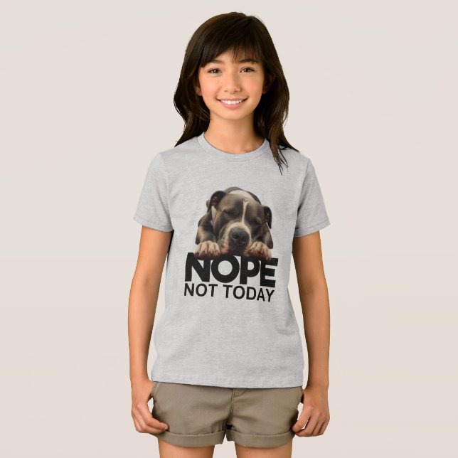 Nope Not Today Pitbull Tri-Blend Shirt (Front Full)