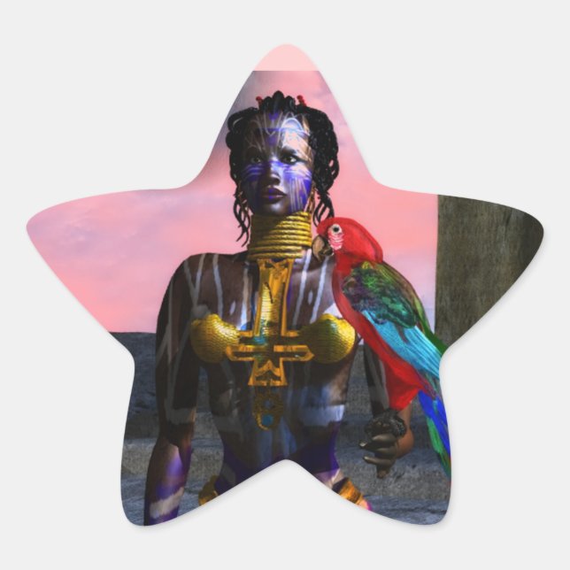 NORA CYBER WARRIOR STAR STICKER (Front)