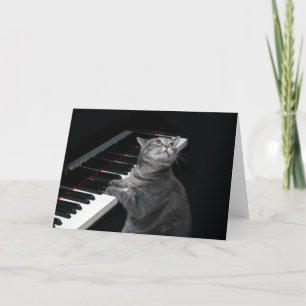 Nora The Piano Cat - Blank Folded Card - Style 002