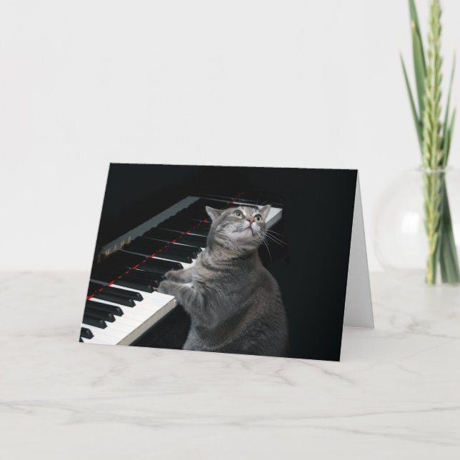 Nora The Piano Cat - Blank Folded Card - Style 002 (Front)