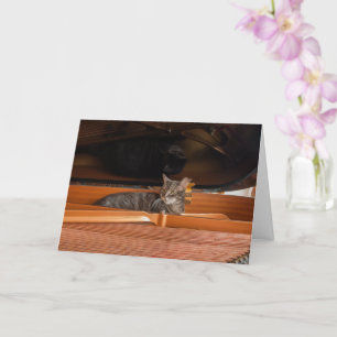 Nora The Piano Cat - Blank Folded Card - Style 003