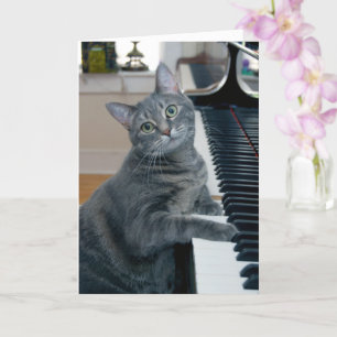Nora The Piano Cat - Blank Folded Card - Style 004