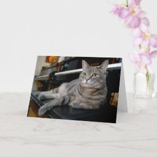 Nora The Piano Cat - Blank Folded Card - Style 005