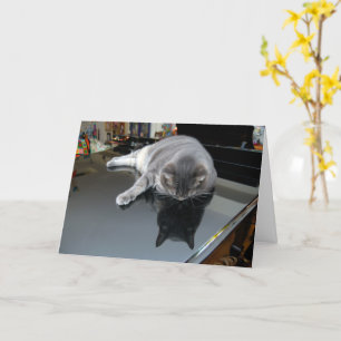 Nora The Piano Cat - Blank Folded Card - Style 006