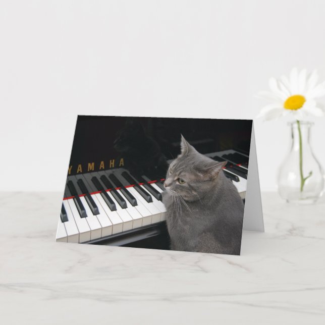 Nora The Piano Cat - Blank Folded Card - Style 7 (Small Plant)