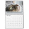 Nora The Piano Cat Calendar: With Excerpts