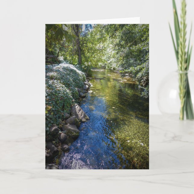 NorCal Nature Greeting Card: Big Chico Creek Card (Front)