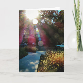 NorCal Nature Greeting Card: Morning Sunshine Card