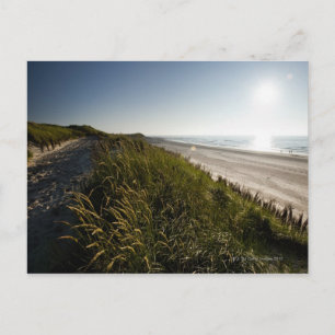 Norderney, East Frisian Islands, Germany Postcard
