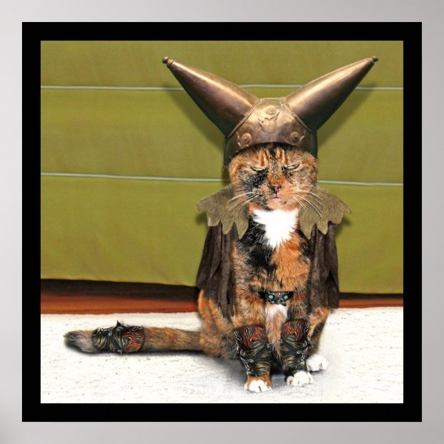 Nordic Cat is Not Amused Poster (Front)