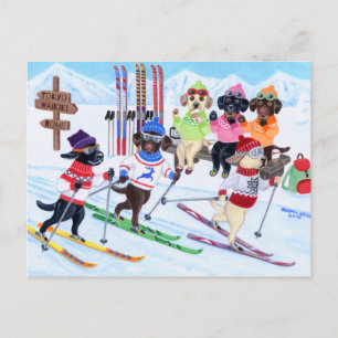 Nordic Skiing Labradors Painting Postcard