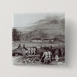 Norfolk Island 15 Cm Square Badge