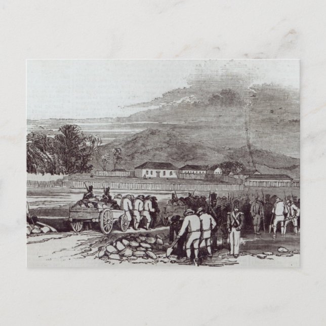 Norfolk Island Postcard (Front)