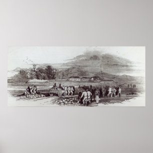 Norfolk Island Poster