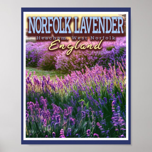 NORFOLK LAVENDER - LAVENDER FIELD NORFOLK ENGLAND POSTER (Front)