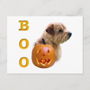 Norfolk Terrier Boo Postcard