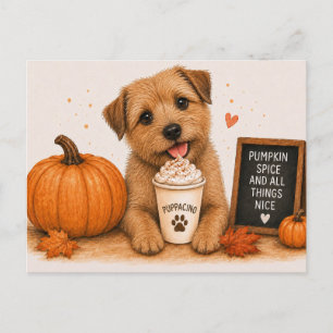 Norfolk Terrier Cozy Pumpkin Spice Puppaccino Postcard