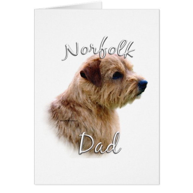Norfolk Terrier Dad 2 (Front)
