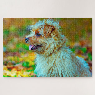 Norfolk terrier Dog. Jigsaw Puzzle