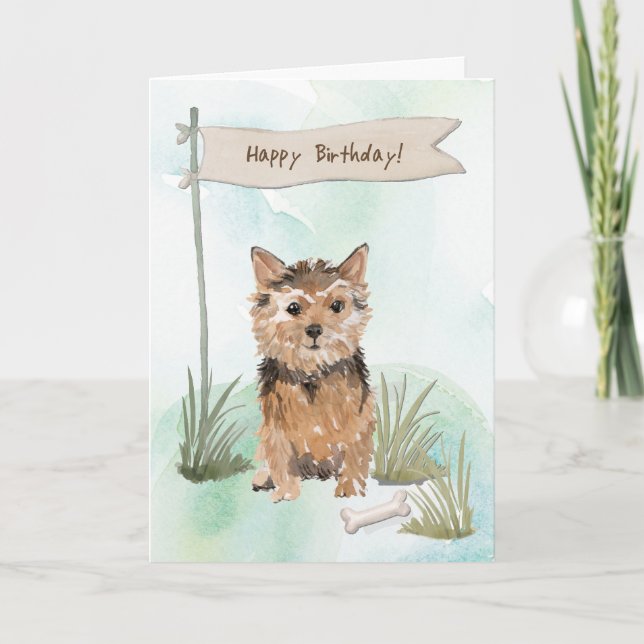 Norfolk Terrier Dog Under Birthday Sign Card (Front)