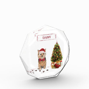 Norfolk Terrier Funny Christmas Dog with Tree Photo Block