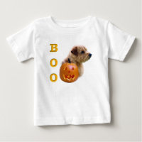 Norfolk Terrier Halloween Boo