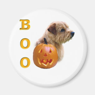 Norfolk Terrier Halloween Boo Magnet