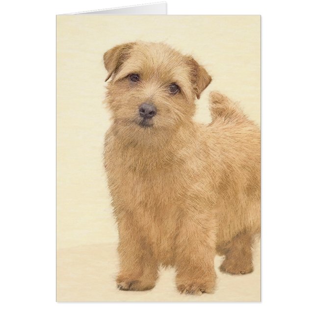 Norfolk Terrier Painting - Original Dog Art (Front)