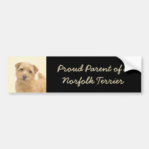 Norfolk Terrier Painting - Original Dog Art Bumper Sticker