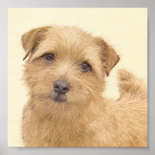 Norfolk Terrier Painting - Original Dog Art Poster (Front)