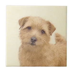 Norfolk Terrier Painting - Original Dog Art Tile