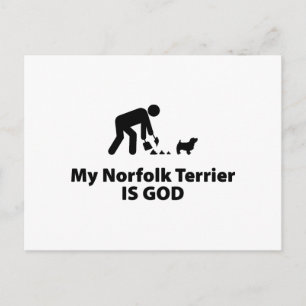 Norfolk Terrier Postcard