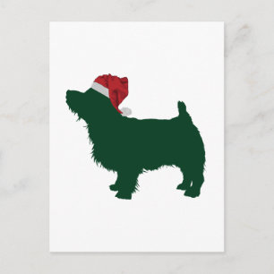 Norfolk Terrier Postcard