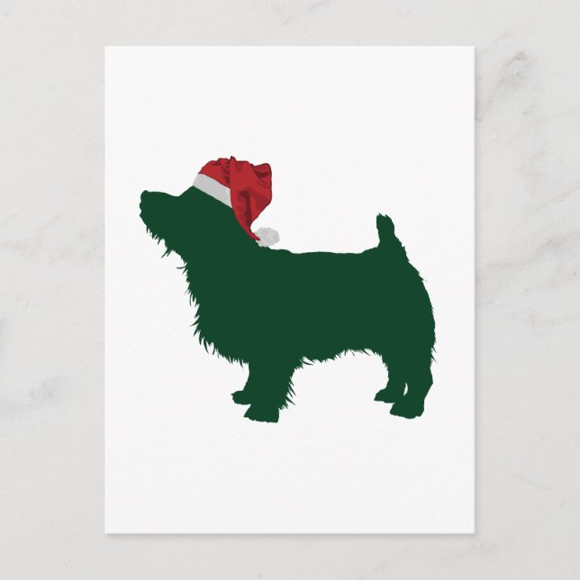 Norfolk Terrier Postcard (Front)