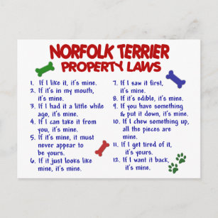 NORFOLK TERRIER Property Laws 2 Postcard