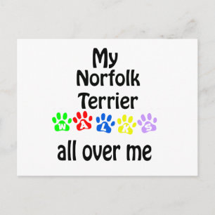 Norfolk Terrier Walks Design Postcard