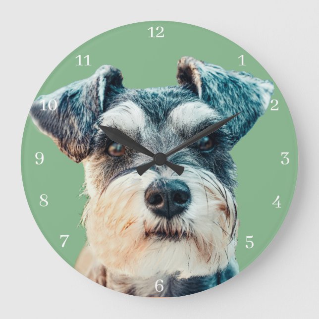 Norfolk Terriers Large Clock (Front)