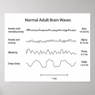 Normal adult brain waves eeg Poster