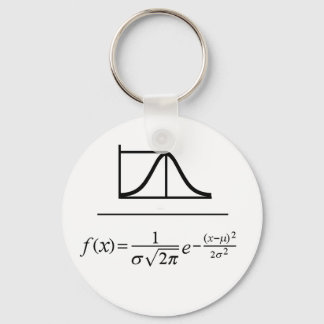 Normal Distribution Key Ring