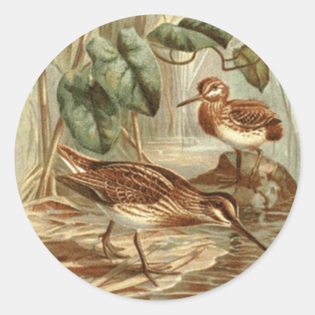 Normal Jack Snipe Sticker (Front)