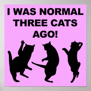 Normal Three Cats Ago Funny Poster Sign