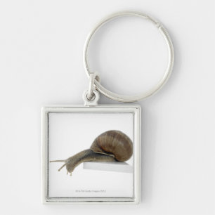 Normalsnail Key Ring