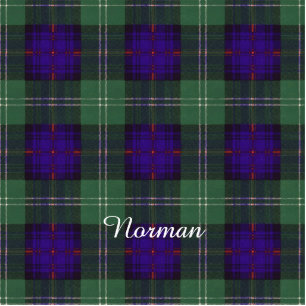 Norman clan Plaid Scottish kilt tartan Photo Sculpture Key Ring