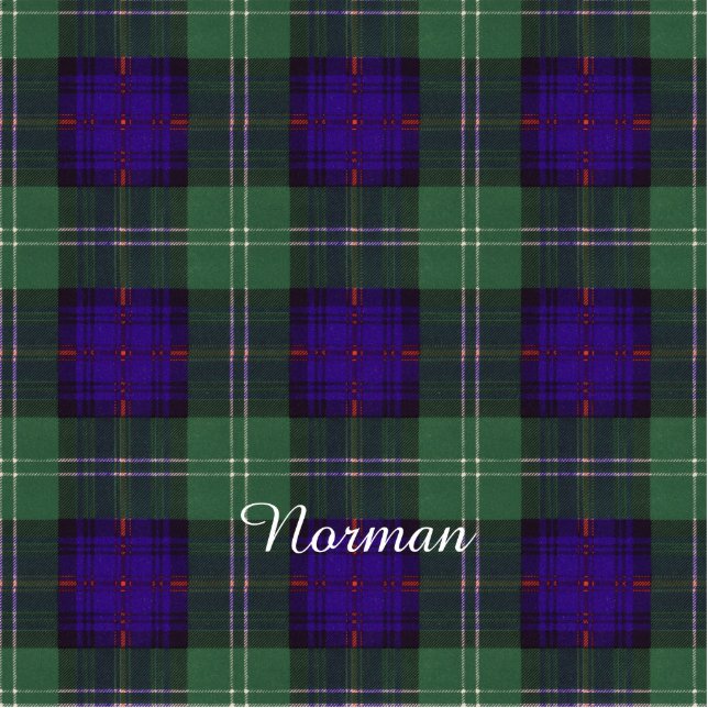 Norman clan Plaid Scottish kilt tartan Photo Sculpture Key Ring (Front)