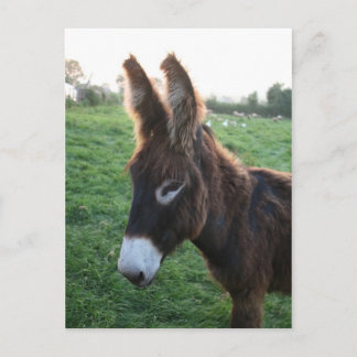 Normandy 2009 postcard